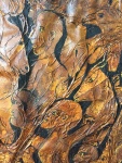 1613364-21.jpg