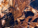 1613373-13.jpg
