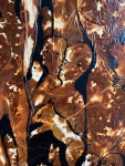 1613374-19.jpg