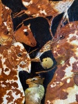 1613376-03.jpg