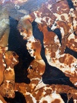 1613376-15.jpg