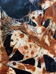1613376-17.jpg