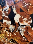 1613376-20.jpg