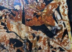 1613376-30.jpg