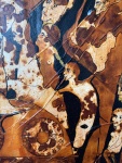 1613379-07.jpg
