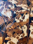 1613379-33.jpg