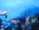 Schweinslippenfisch und Blue Maomaos