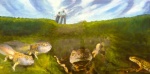 Teich mit Kammmolchen und Schaufel-Kaulquappen